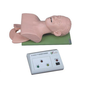 Electronic Trachea Intubation Training Model 3