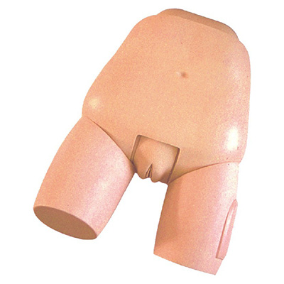 Fundus of Uterus Exam & Evaluation Model 31