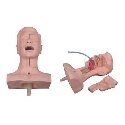 Suction Training Model 60