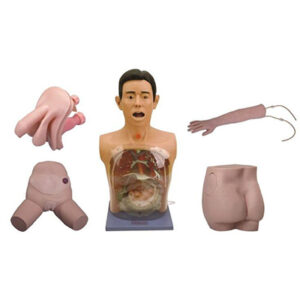 Basic Nursing Manikin A