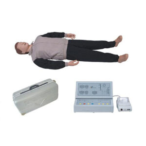 CPR Training Manikin CPR400S