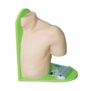 Shoulder Joint Cavity Injection Model L70