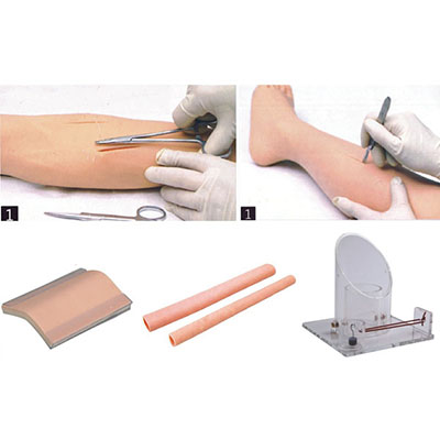Comprehensive Surgical Skill Training Model LV10