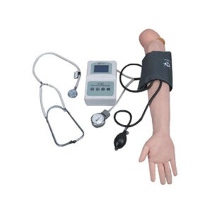 Blood Pressure Training Arm Model S7
